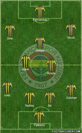 Fenerbahçe SK Formation 2015
