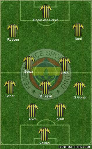 Fenerbahçe SK Formation 2015
