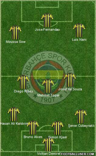 Fenerbahçe SK Formation 2015