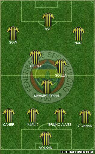 Fenerbahçe SK Formation 2015