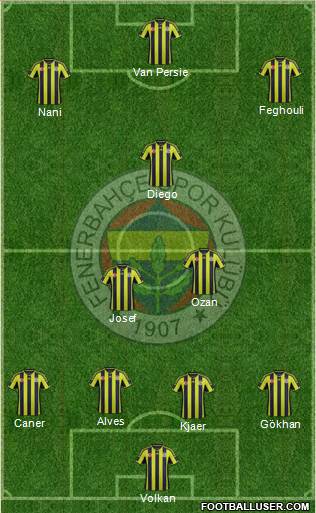 Fenerbahçe SK Formation 2015