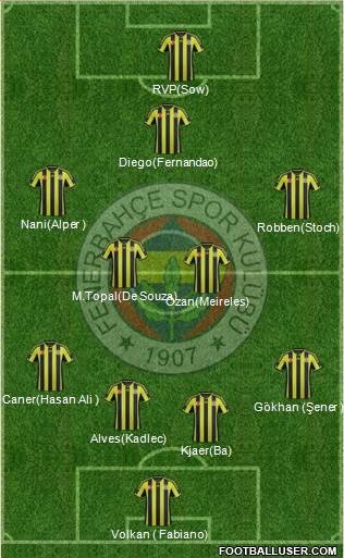Fenerbahçe SK Formation 2015