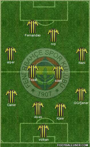 Fenerbahçe SK Formation 2015