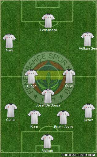 Fenerbahçe SK Formation 2015