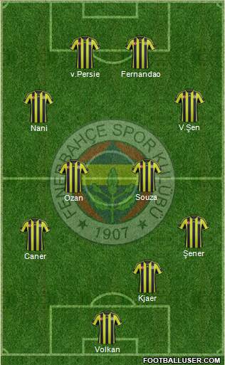 Fenerbahçe SK Formation 2015