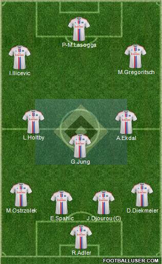Hamburger SV Formation 2015