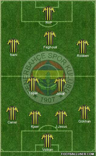 Fenerbahçe SK Formation 2015
