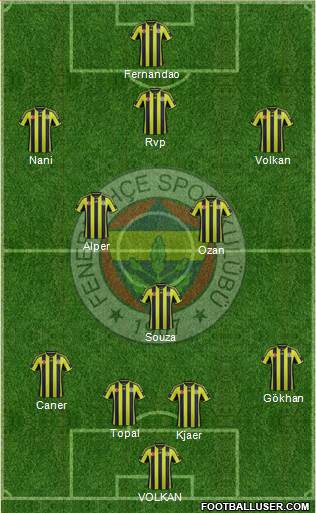 Fenerbahçe SK Formation 2015