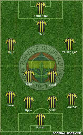 Fenerbahçe SK Formation 2015