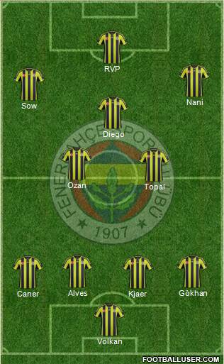 Fenerbahçe SK Formation 2015