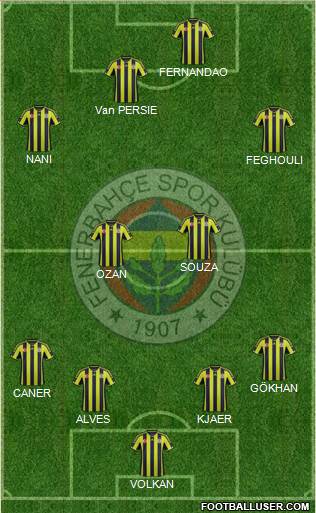 Fenerbahçe SK Formation 2015