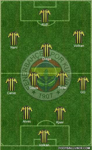Fenerbahçe SK Formation 2015