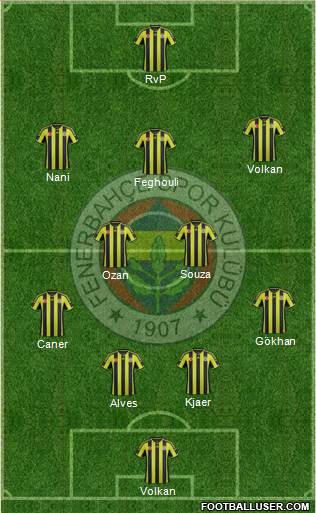 Fenerbahçe SK Formation 2015