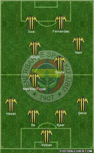 Fenerbahçe SK Formation 2015