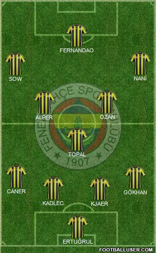 Fenerbahçe SK Formation 2015