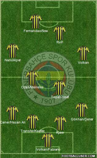 Fenerbahçe SK Formation 2015