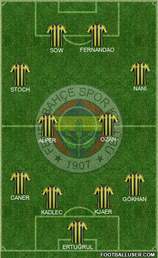 Fenerbahçe SK Formation 2015