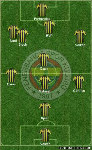 Fenerbahçe SK Formation 2015