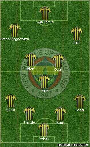 Fenerbahçe SK Formation 2015