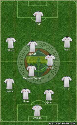 Fenerbahçe SK Formation 2015