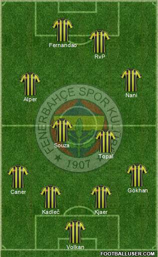 Fenerbahçe SK Formation 2015