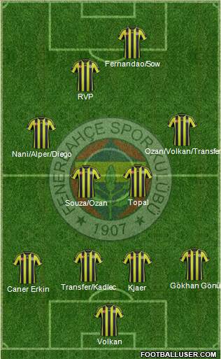 Fenerbahçe SK Formation 2015
