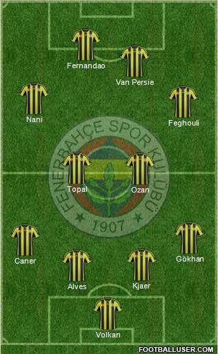 Fenerbahçe SK Formation 2015
