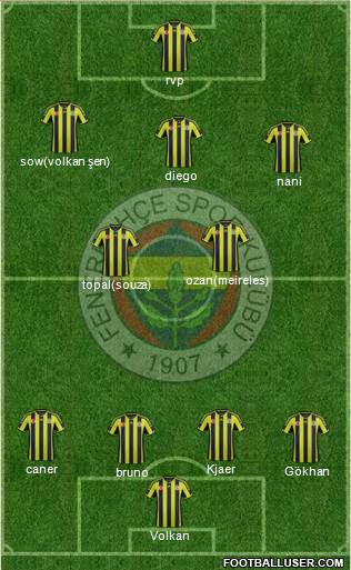 Fenerbahçe SK Formation 2015