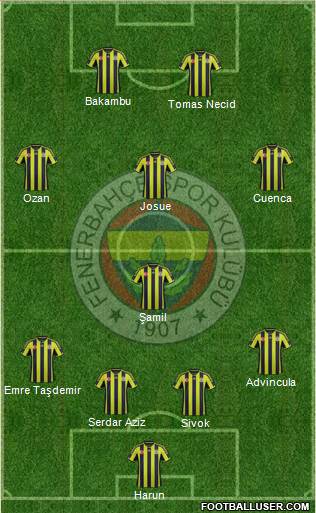 Fenerbahçe SK Formation 2015