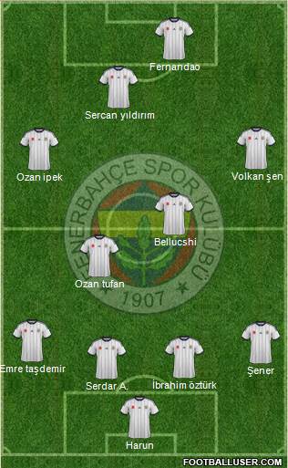 Fenerbahçe SK Formation 2015
