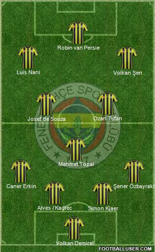 Fenerbahçe SK Formation 2015