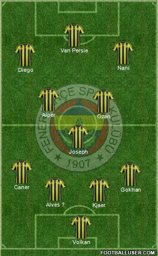 Fenerbahçe SK Formation 2015