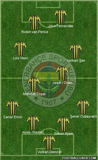Fenerbahçe SK Formation 2015