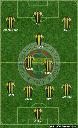 Fenerbahçe SK Formation 2015