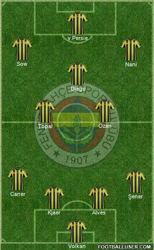 Fenerbahçe SK Formation 2015