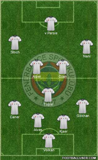 Fenerbahçe SK Formation 2015