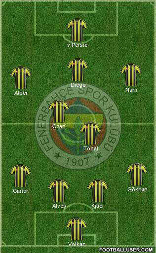 Fenerbahçe SK Formation 2015