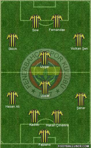 Fenerbahçe SK Formation 2015