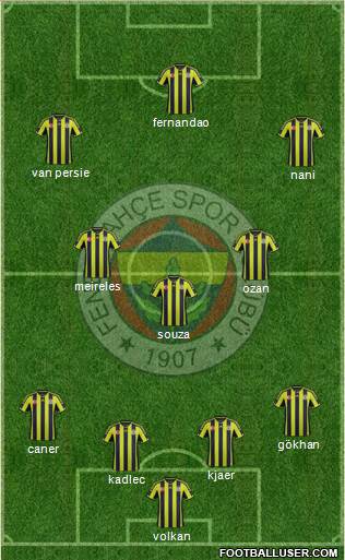 Fenerbahçe SK Formation 2015