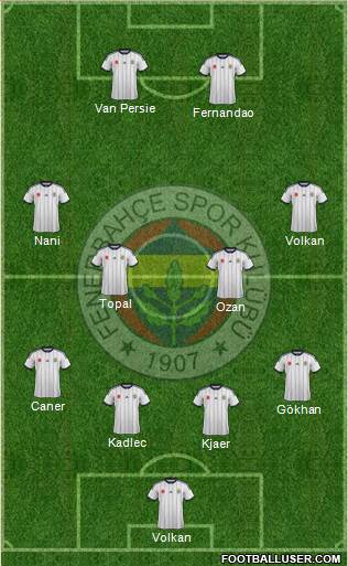 Fenerbahçe SK Formation 2015