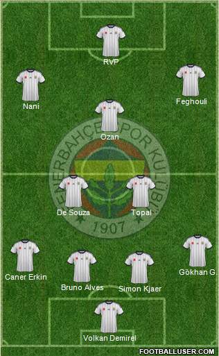 Fenerbahçe SK Formation 2015