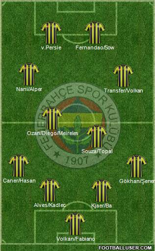 Fenerbahçe SK Formation 2015