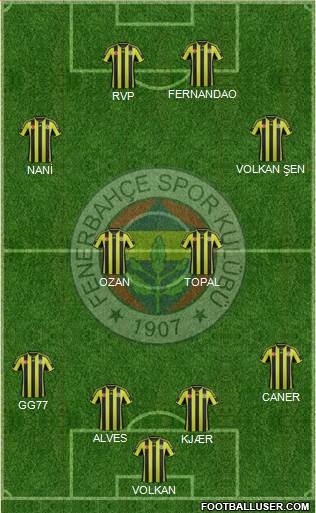 Fenerbahçe SK Formation 2015