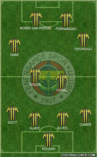 Fenerbahçe SK Formation 2015