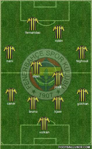 Fenerbahçe SK Formation 2015