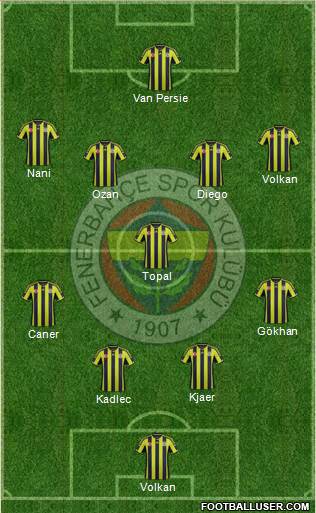 Fenerbahçe SK Formation 2015