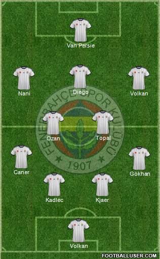 Fenerbahçe SK Formation 2015