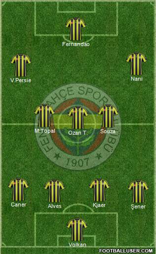 Fenerbahçe SK Formation 2015