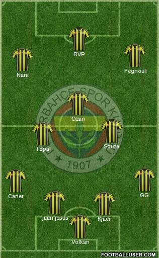 Fenerbahçe SK Formation 2015