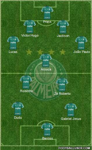 SE Palmeiras Formation 2015